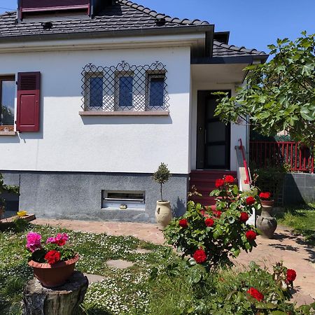 Colmar Room,Chambre Privee Chez L'Habitant,Parking Voiture Devant La Maison,Garage Moto Et Velo ภายนอก รูปภาพ