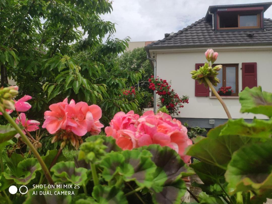 Colmar Room,Chambre Privee Chez L'Habitant,Parking Voiture Devant La Maison,Garage Moto Et Velo ภายนอก รูปภาพ